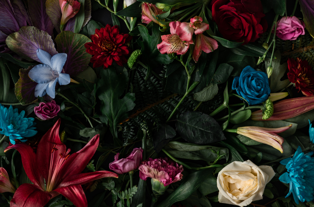 Image of Different Kinds of Flowers