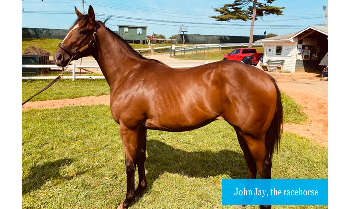 John Jay, the race horse