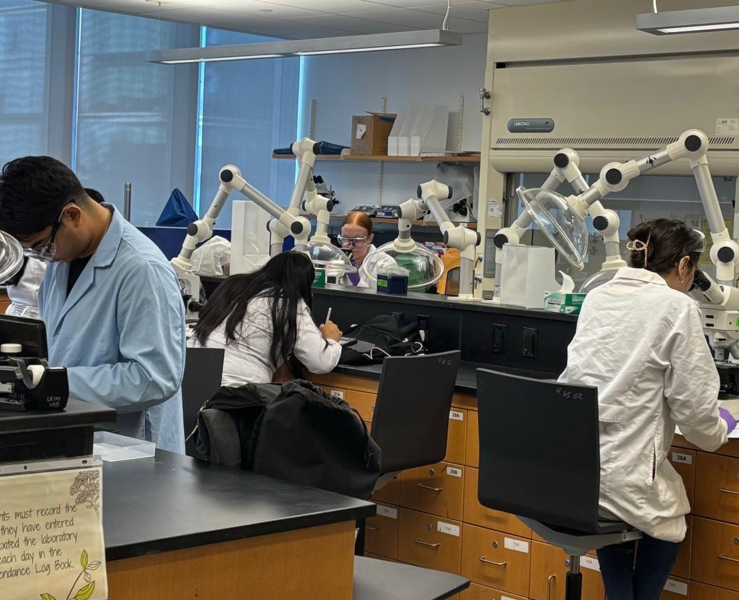 Crim Lab